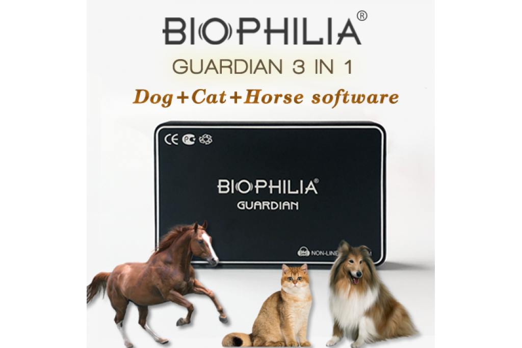 The popular machine-The Biophilia Guardian A1、A2、A3 